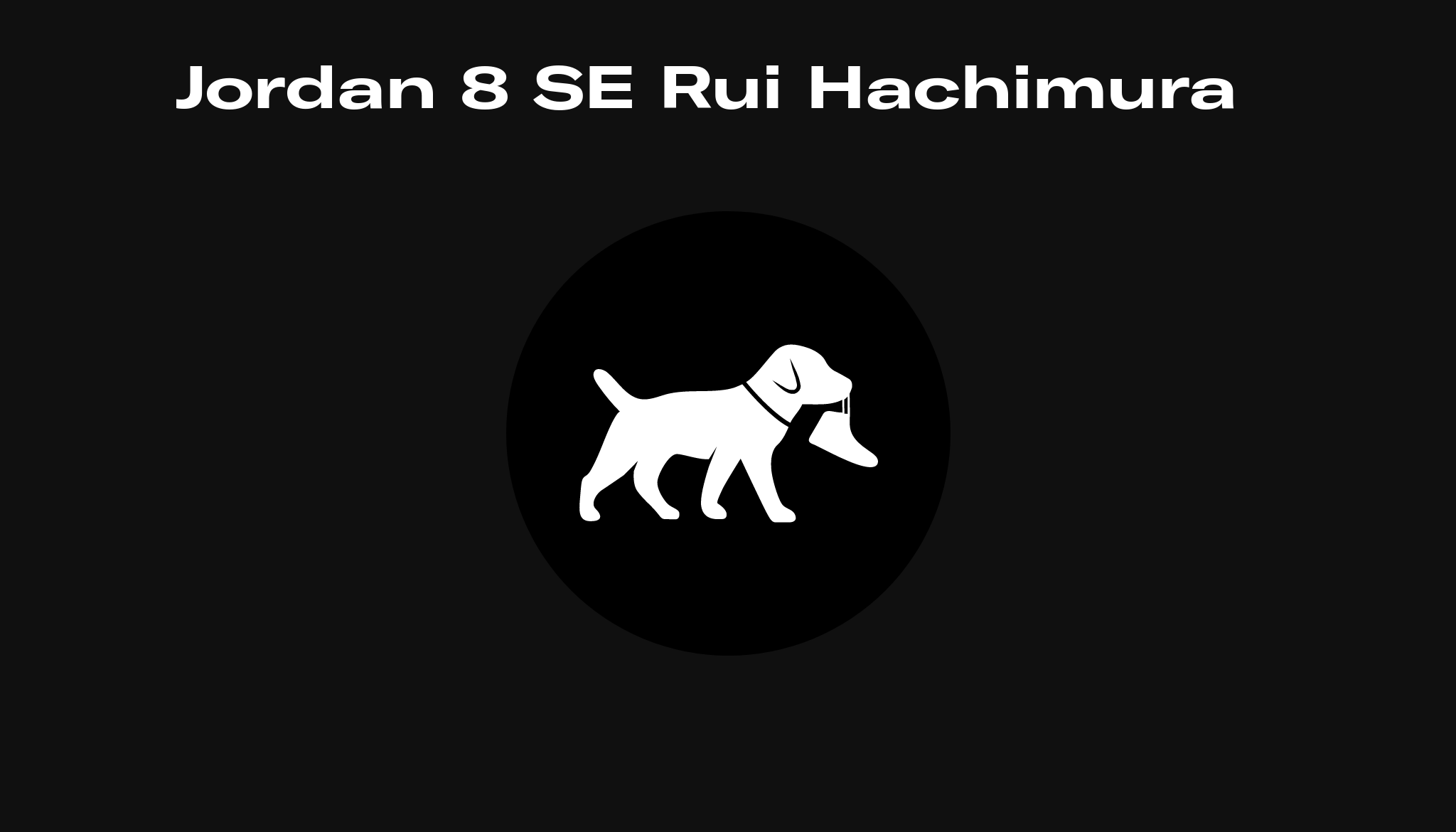 Jordan 8 SE Rui Hachimura, Raffles and 