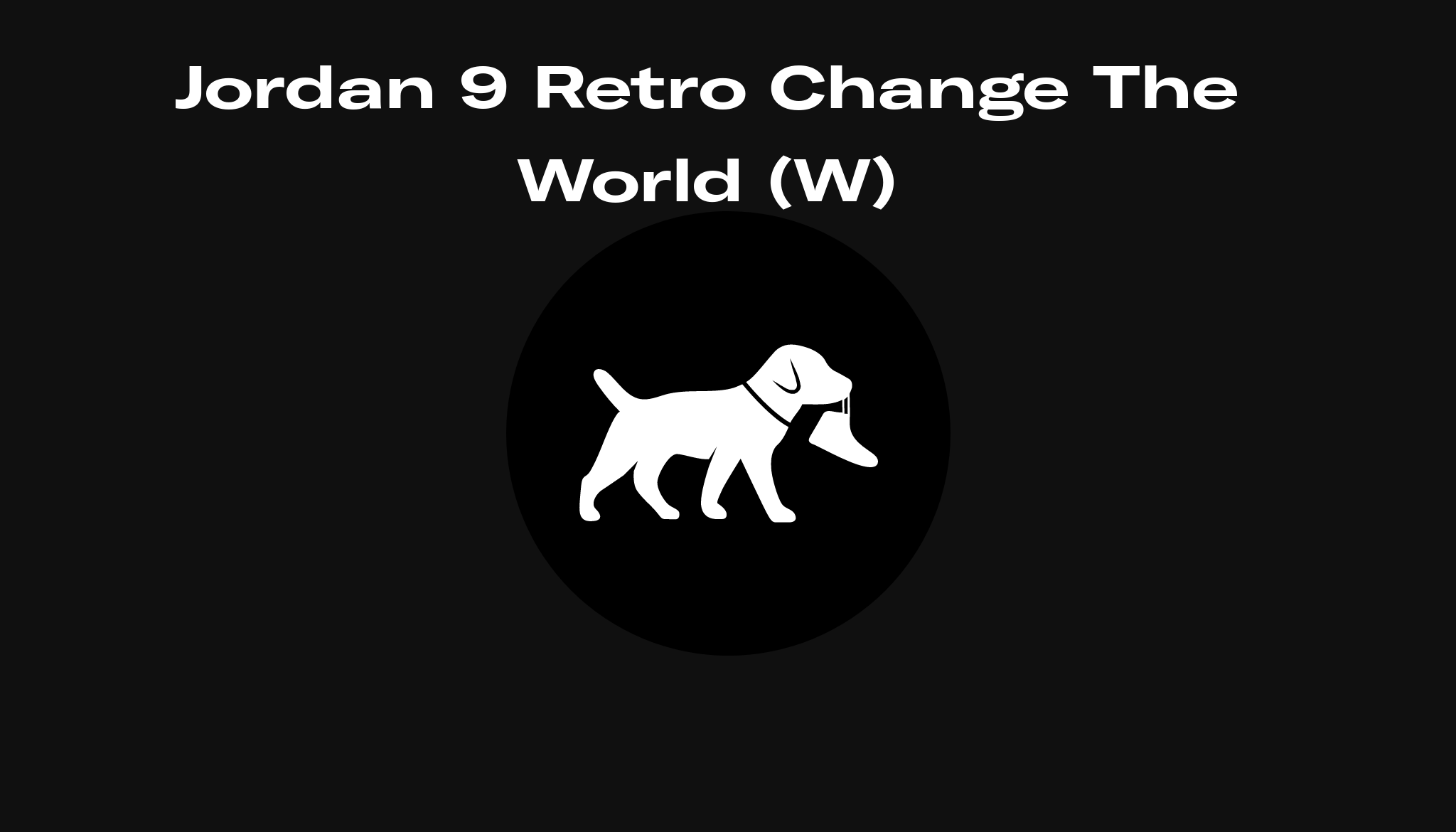 change the world jordan 9 champs