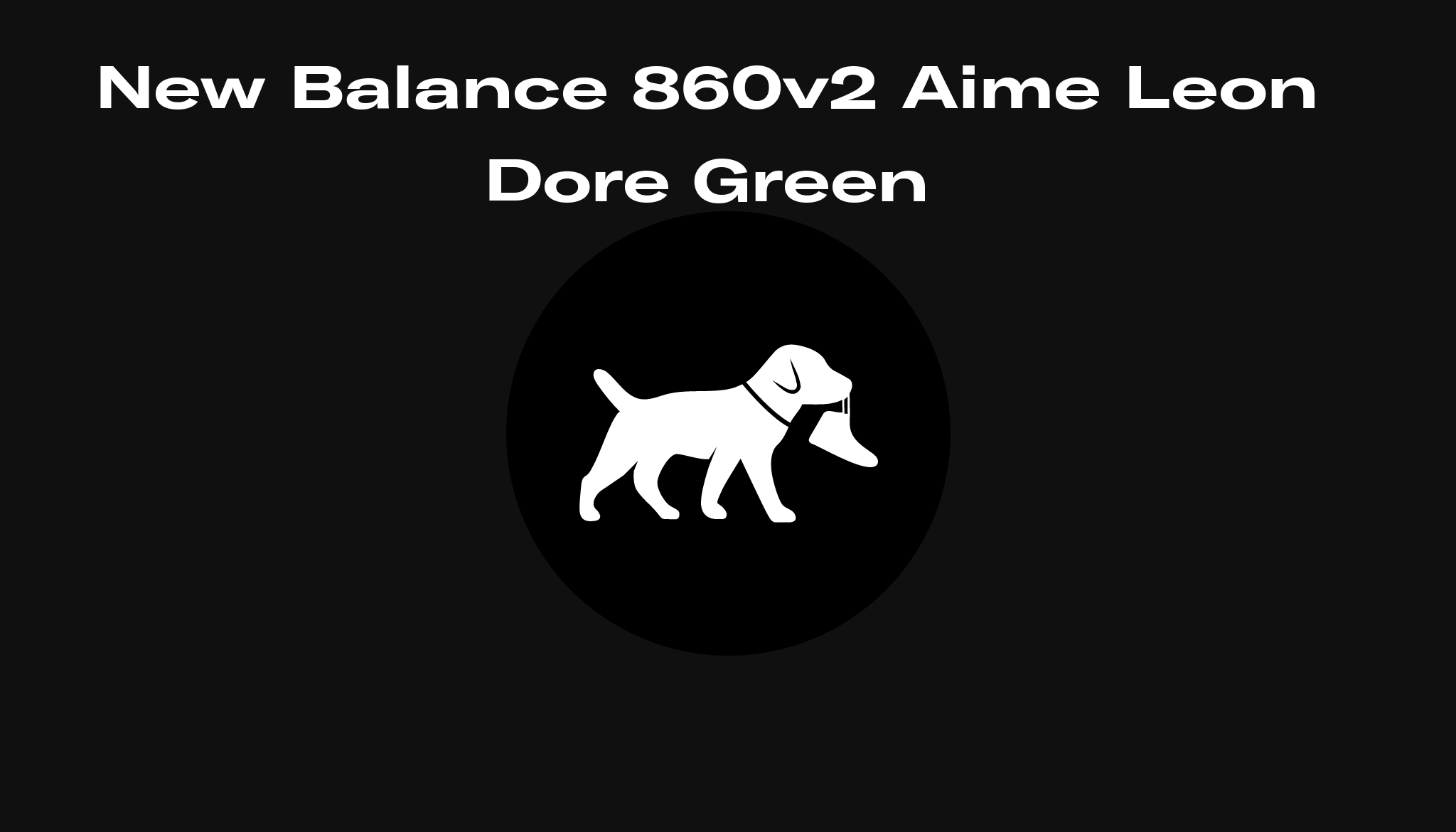 Aimé Leon Dore × New Balance 860v2 Green | ccaisa.com.mx