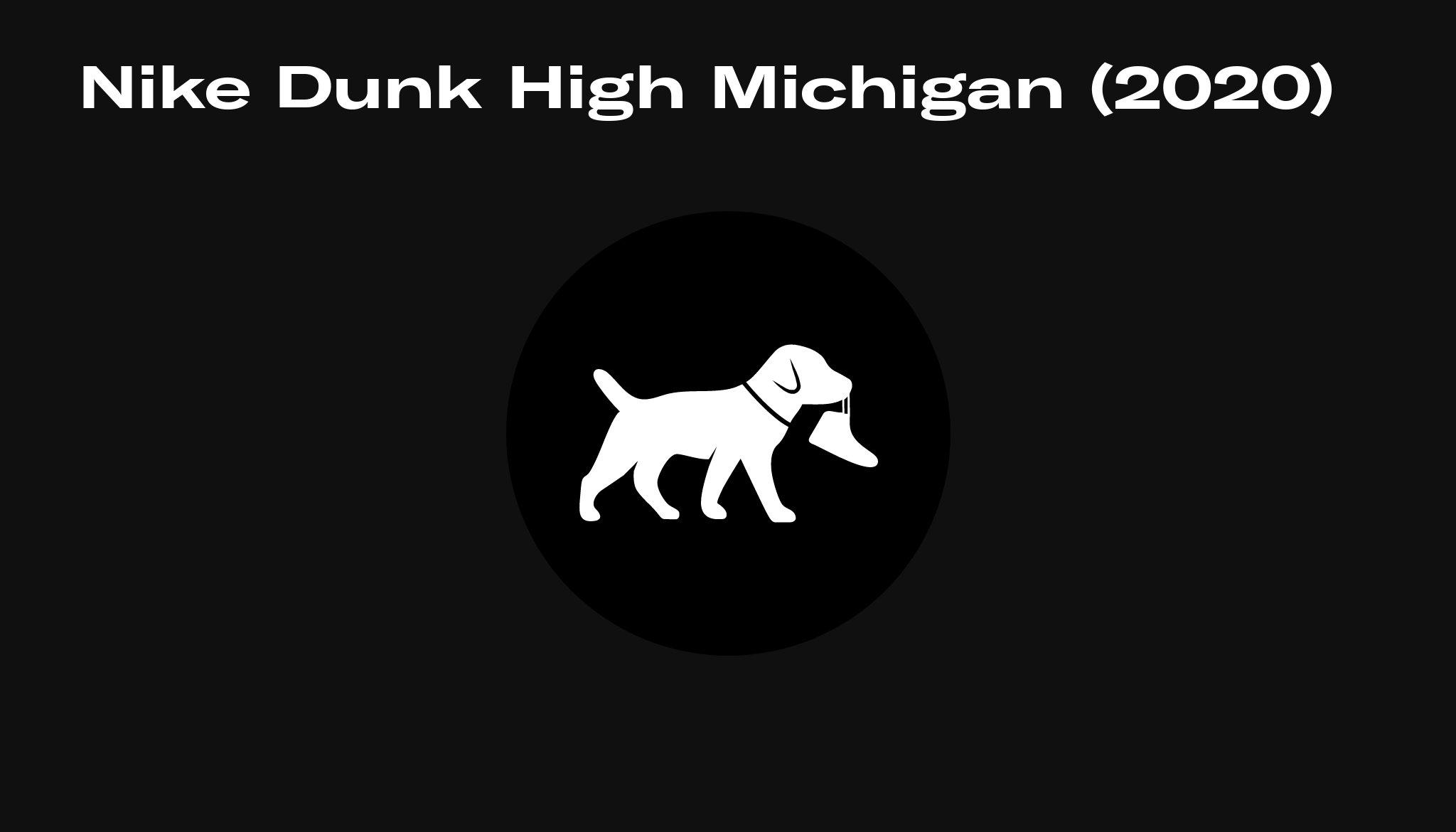 michigan dunk 2020